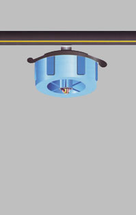 Drip Irrigation 